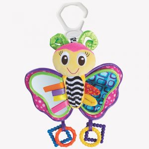 Activity Friend Blossom Butterfly