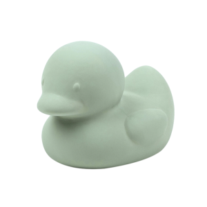 Bath Toy – Green Duck