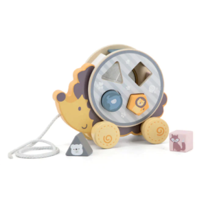 Hedgehog with Sorting Wheel