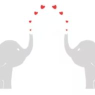 Gaia&Ludovica 's wishlist