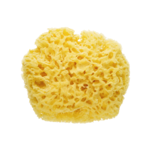 Natural Bath Sponge