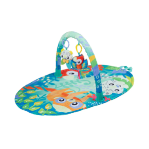 Mighty Milestones Play Gym